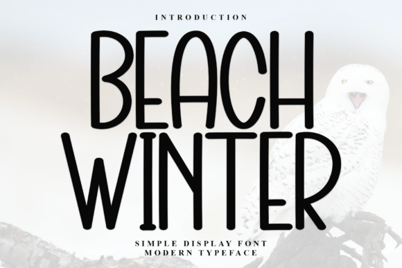 Beach Winter Font: A Timeless Display Typeface for Branding