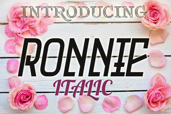 Ronnie Display Font for Editorial Design